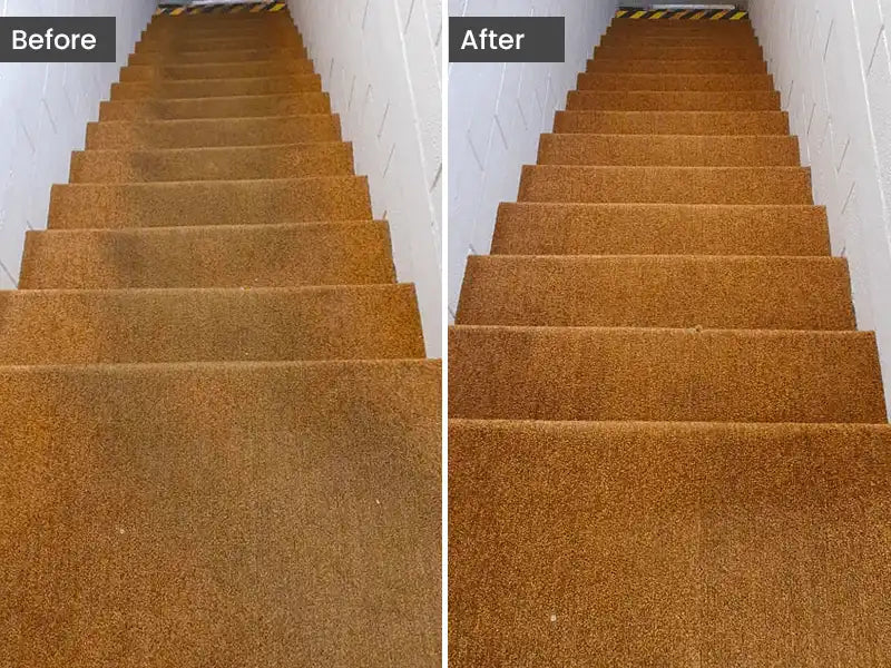 Before and after image showing carpet cleaned with Bonzer extractor vs. untreated carpet