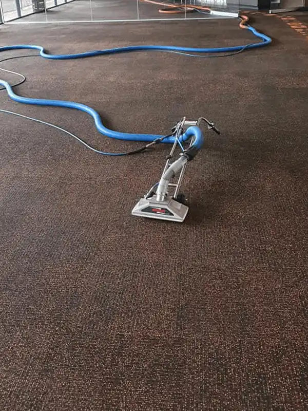 Bonzer extractor in use cleaning a carpet in a commercial space