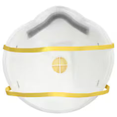 Particulate Respirator N95 Mask