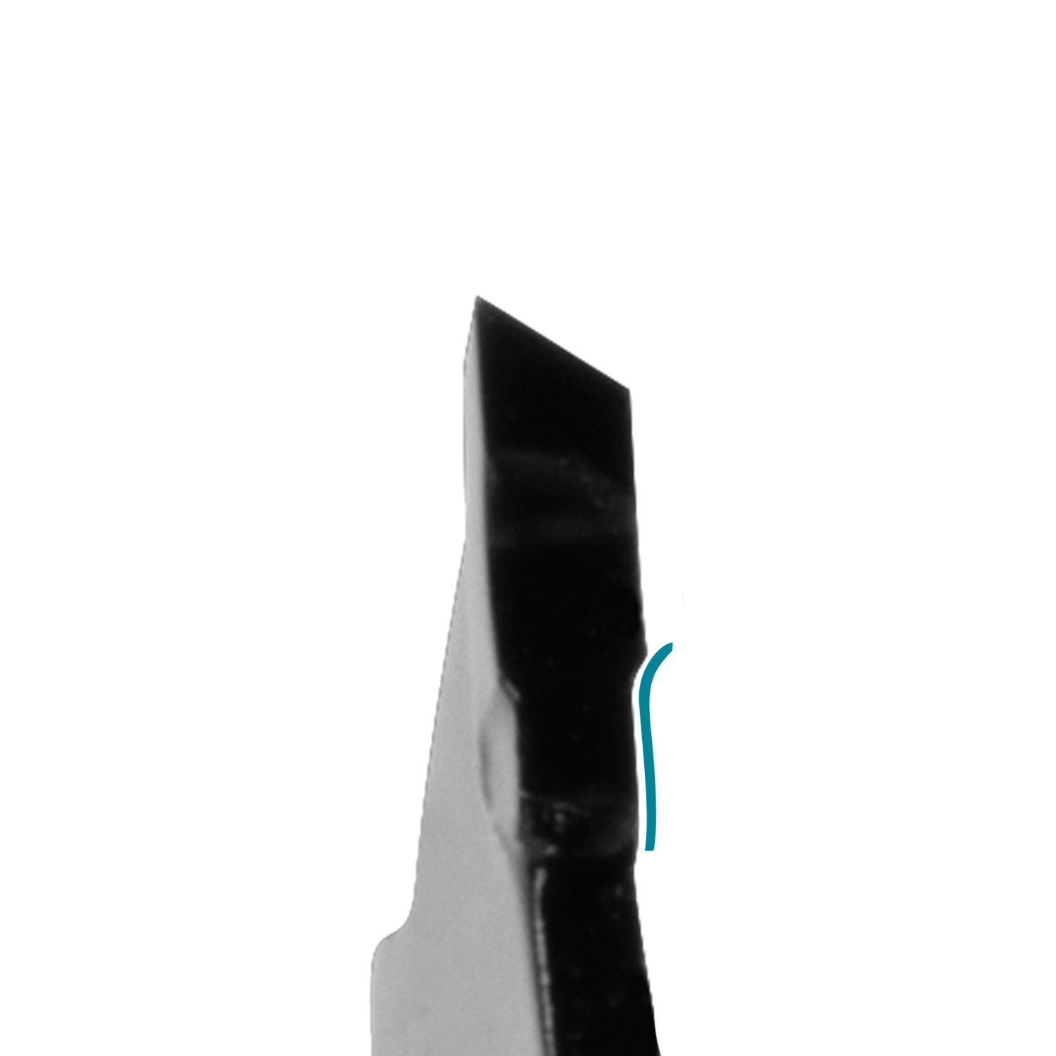 close-up image of a single tooth showing width and edge
