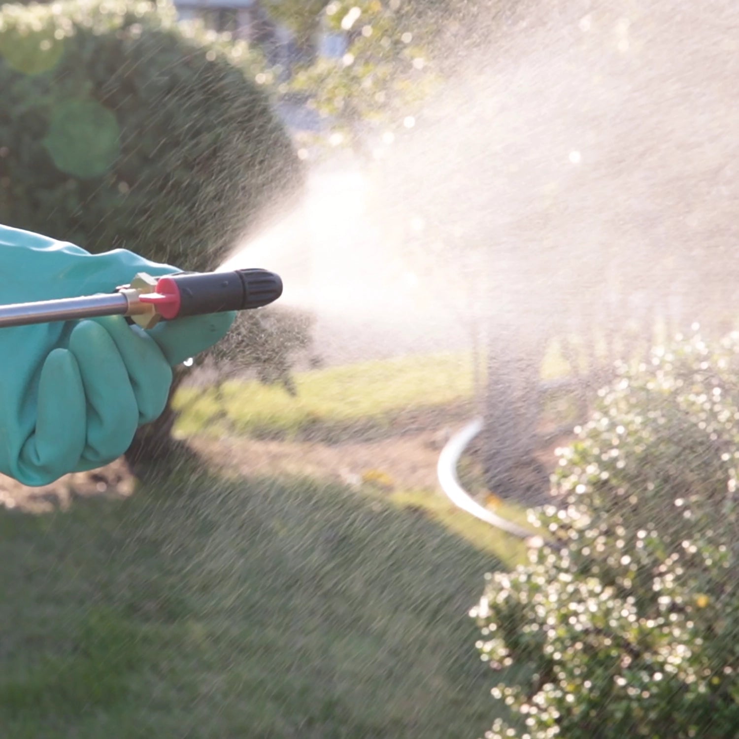 Makita cordless garden sprayer used to spray along property line
