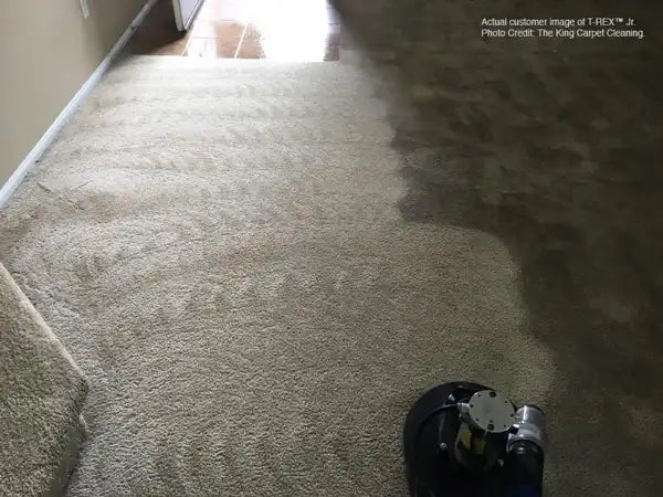 Before and after results showing carpet cleaned with Mytee T-REX Jr. rotary extractor