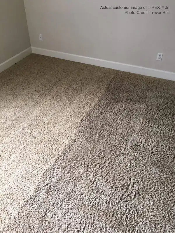 Close-up of restored carpet fibers after cleaning with Mytee T-REX Jr. rotary extractor