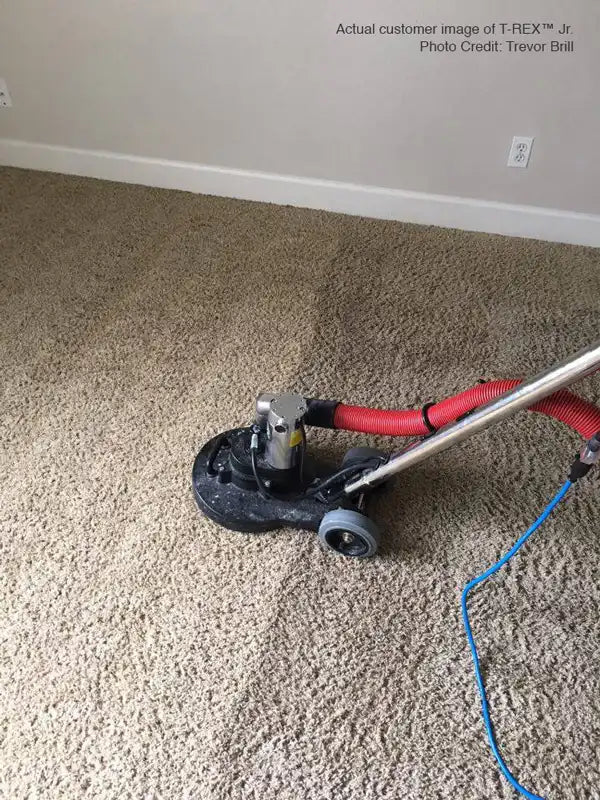 Mytee T-REX Jr. rotary extractor cleaning commercial carpet

