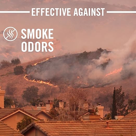 Icons showing OdorX is effective against fire, smoke, food, and pet odors
